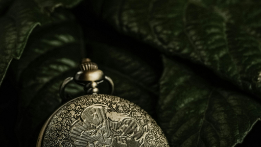 Quiet Luxury: Everyday Elegance with Timeless Design