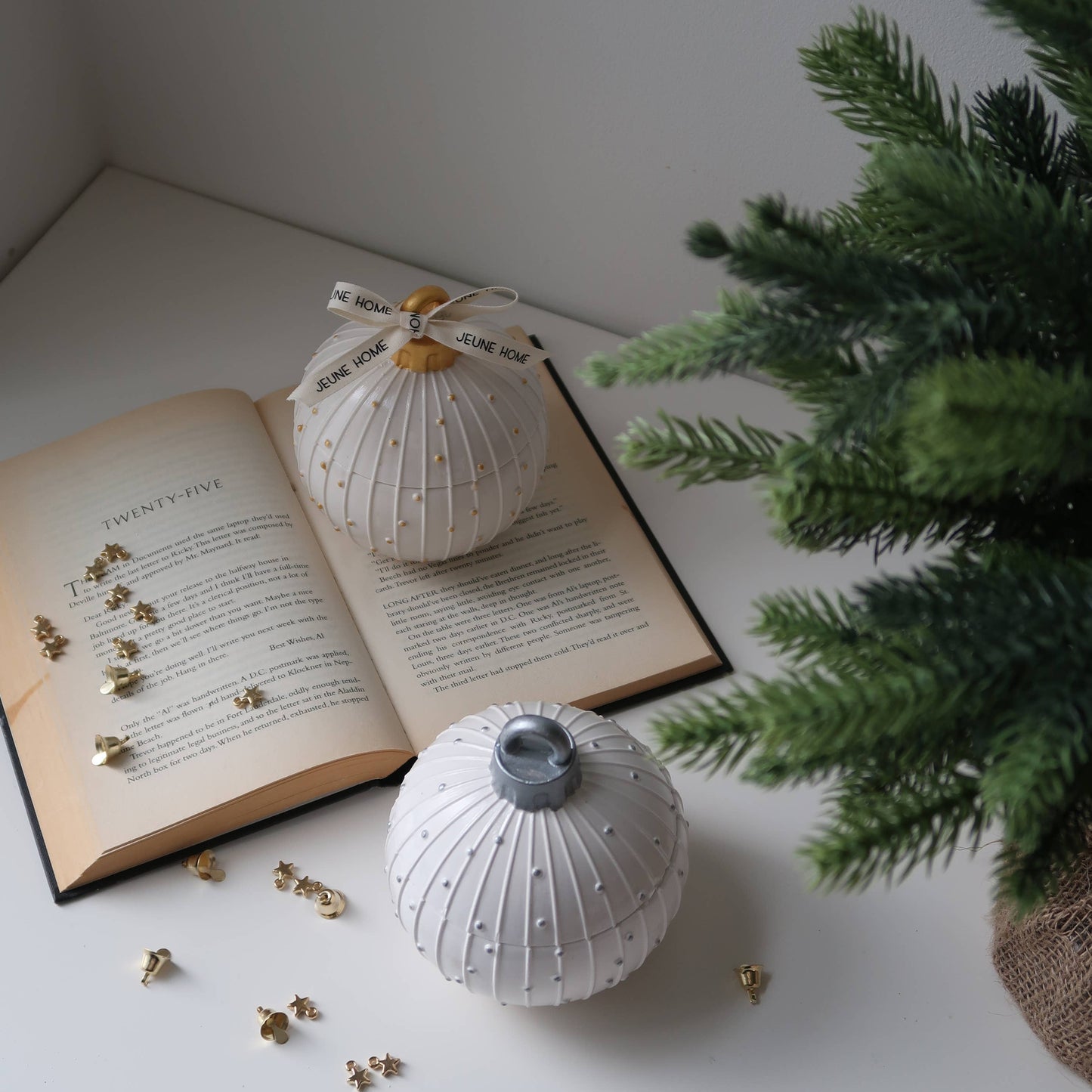 Decorative white textured vase on an open book with a plant in the background