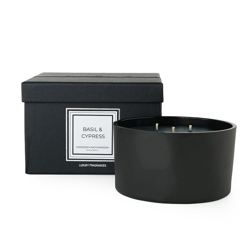 Basil and Cypress 3 Wick Candle