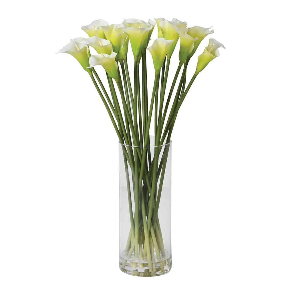 Bright White Calla Lilies in Glass Column Vase for sale - Woodcock and Cavendish