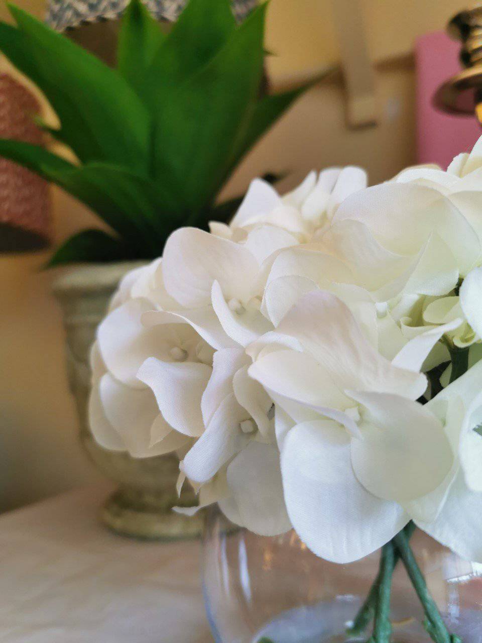 Hydrangea in Globe Vase - Small for sale - Woodcock and Cavendish