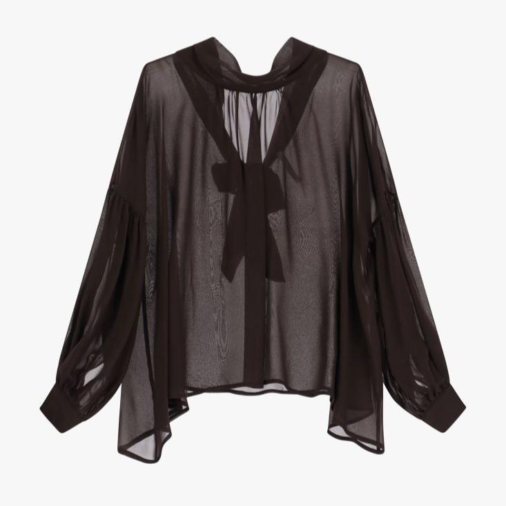 Sheer Shirt with Wide Sleeves and Bow