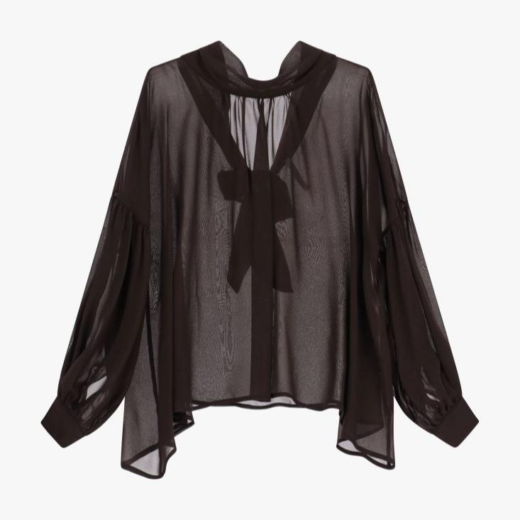 Sheer Shirt with Wide Sleeves and Bow