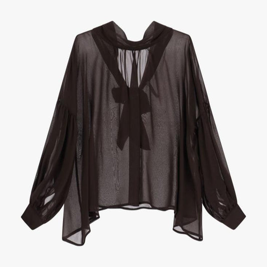 Sheer Shirt with Wide Sleeves and Bow
