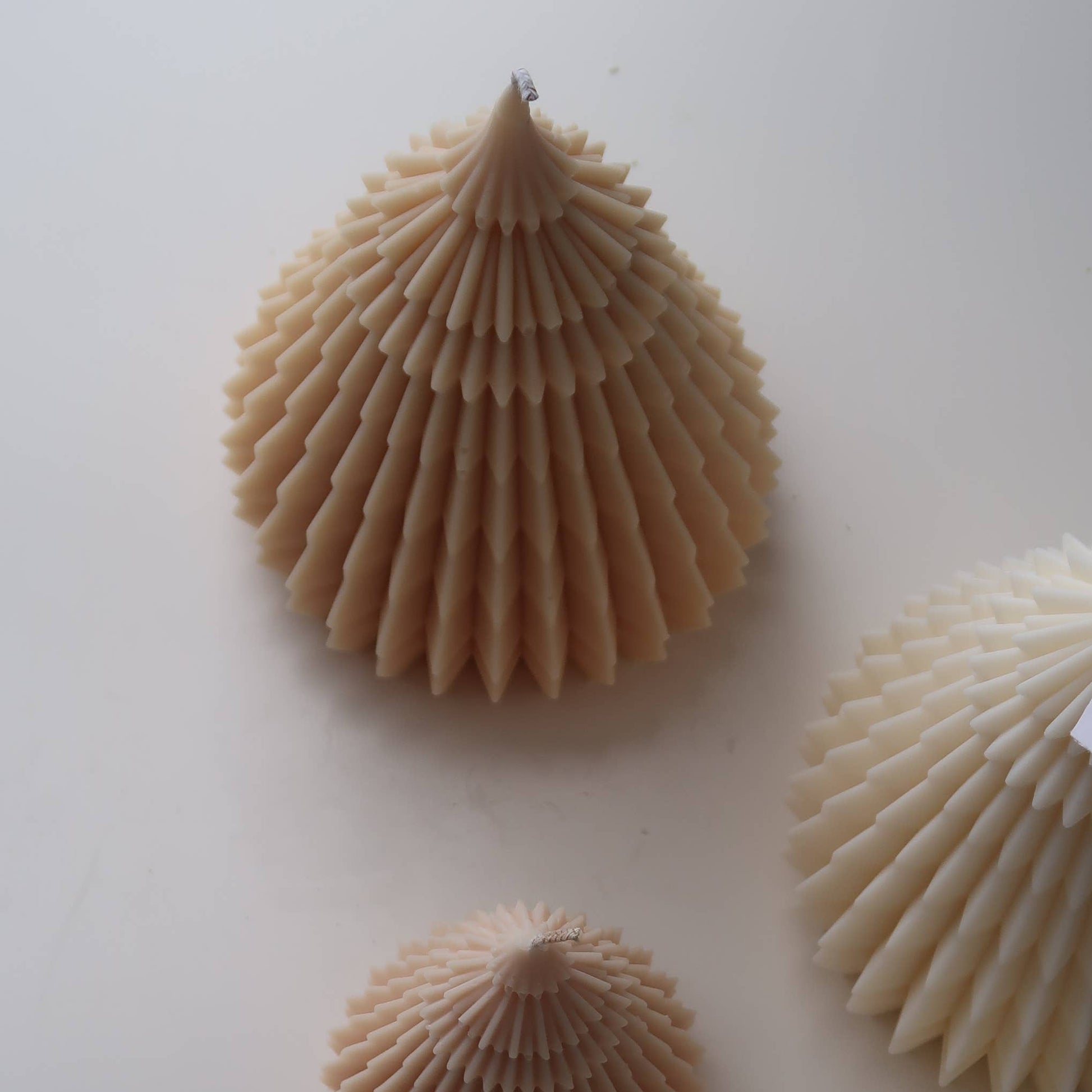 Three seashells on a white surface with an open book underneath.