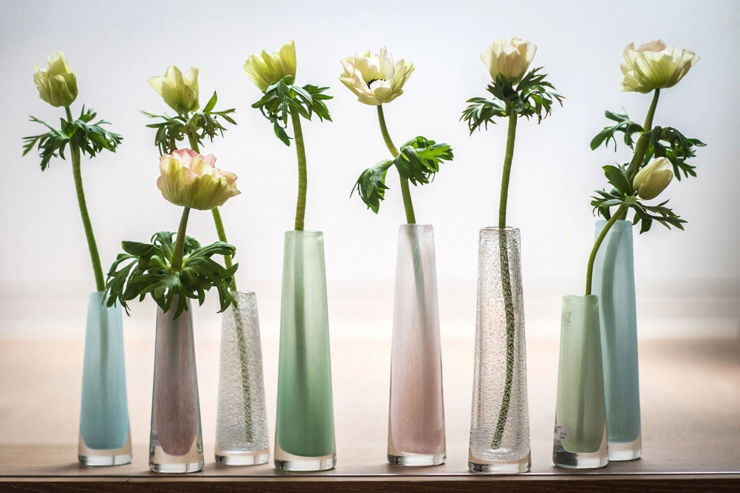 Set of six glass vases with flowers on a reflective surface