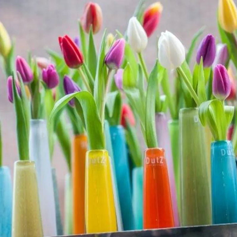Colorful tulips in variously colored vases on a blurred background