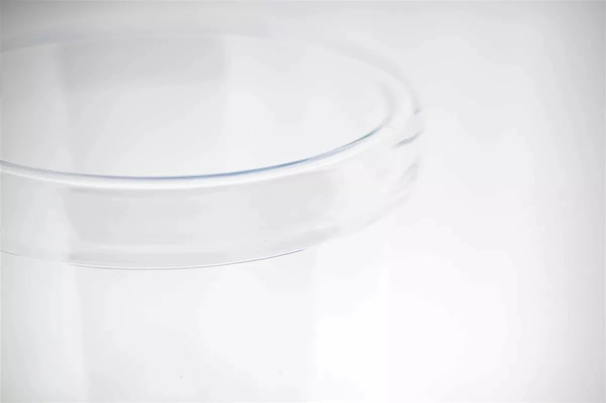 Clear glass plate on a white background