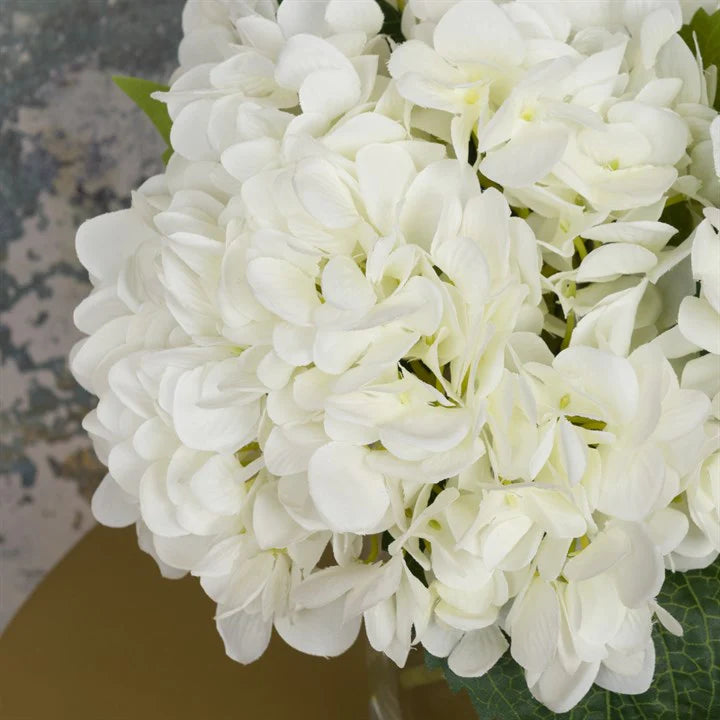 White Hydrangeas In Globe Vase for sale - Woodcock and Cavendish