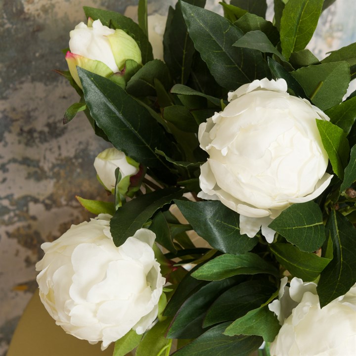White Peonies in Globe for sale - Woodcock and Cavendish