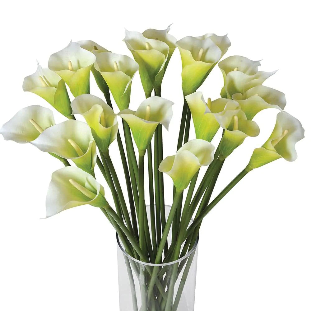 Bright White Calla Lilies in Glass Column Vase for sale - Woodcock and Cavendish