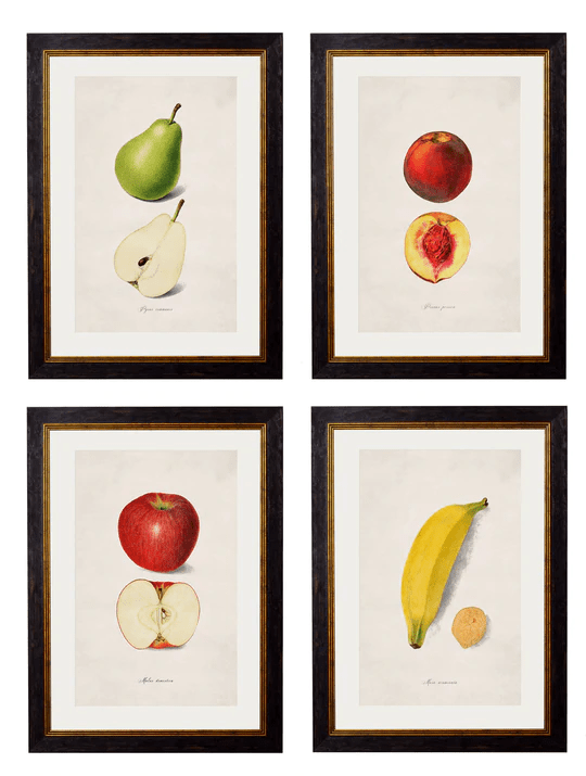 C.1886 Studies of Fruit for sale - Woodcock and Cavendish