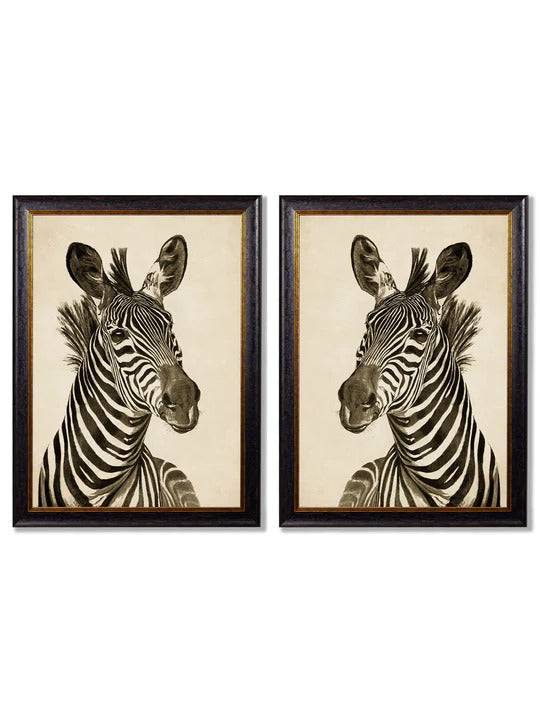 C.1890 Zebras Dark - Set of Two for sale - Woodcock and Cavendish