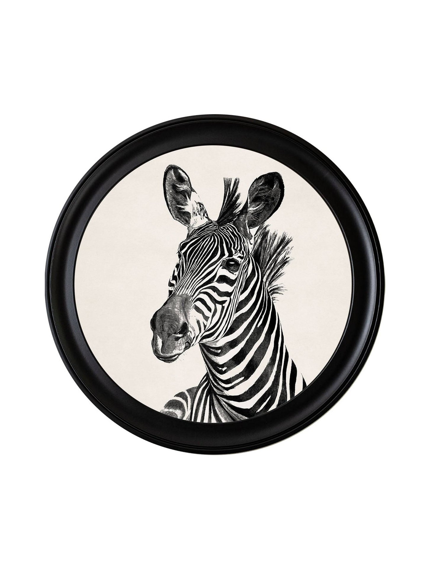 C.1890 Zebras Light - Round Frame for sale - Woodcock and Cavendish