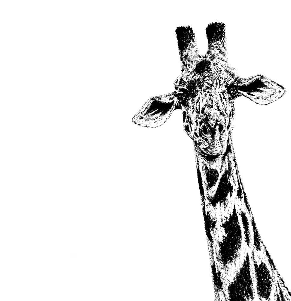 Giraffe Mug - Large for sale - Woodcock and Cavendish