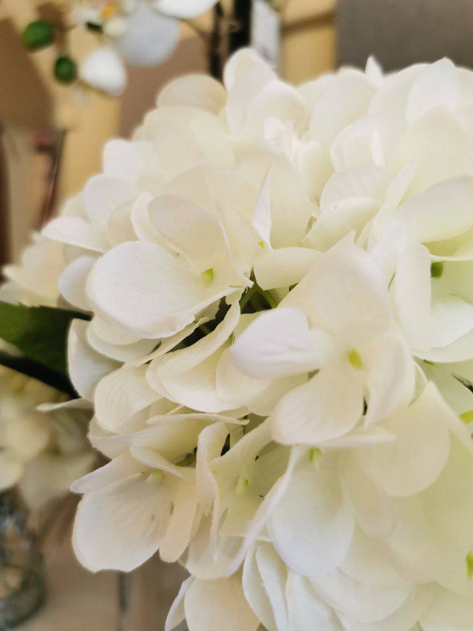 Hydrangea in Globe Vase - Small for sale - Woodcock and Cavendish