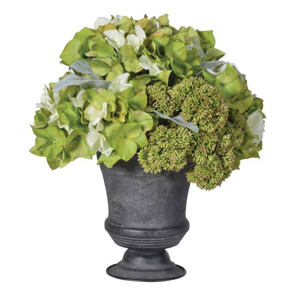 Hydrangea & Sedum Floral Arrangement for sale - Woodcock and Cavendish