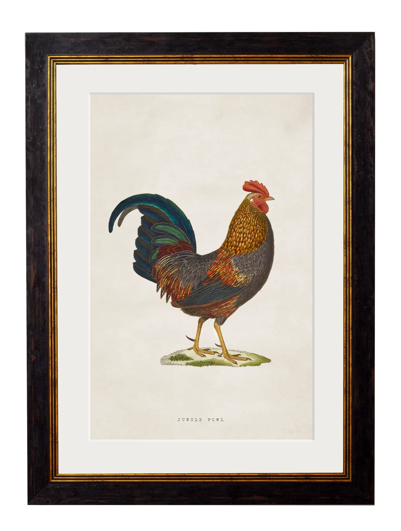C.1838 Junglefowl Frames for sale - Woodcock and Cavendish