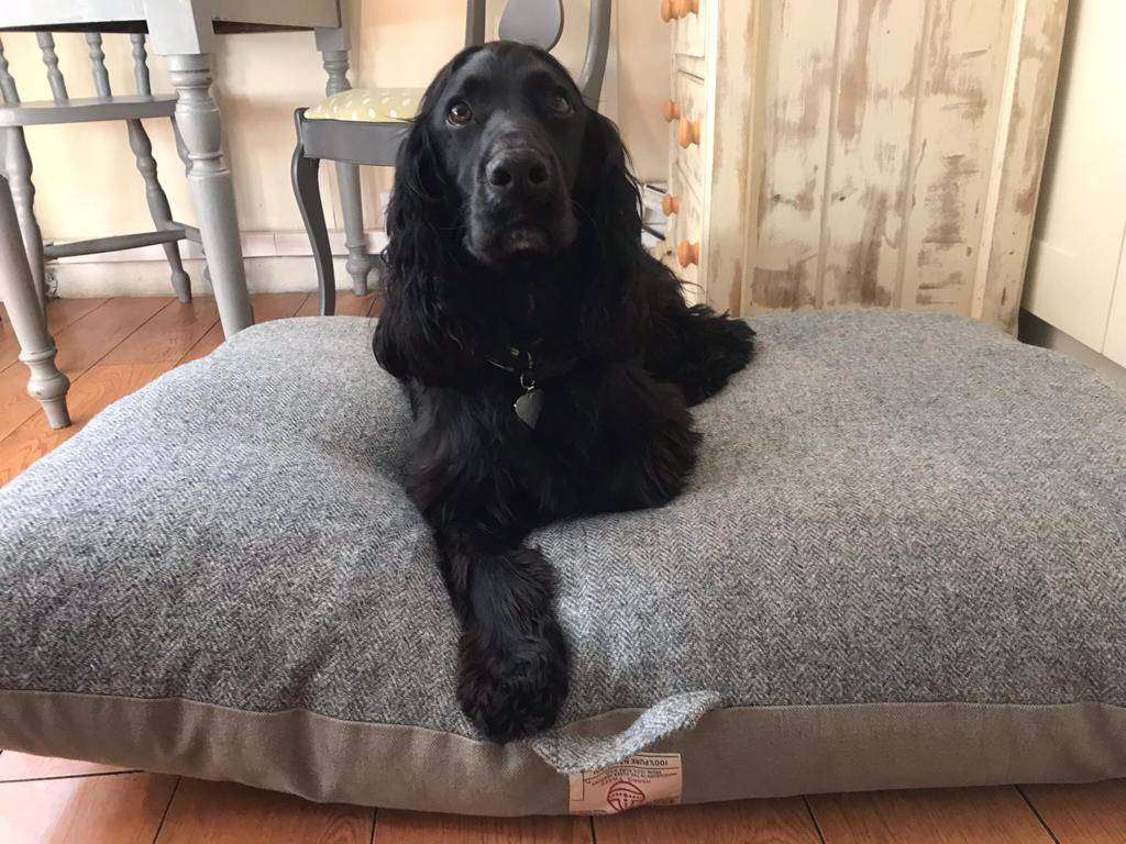 Luxury Pet Bed in Green Herringbone by Woodcock & Cavendish for sale - Woodcock and Cavendish