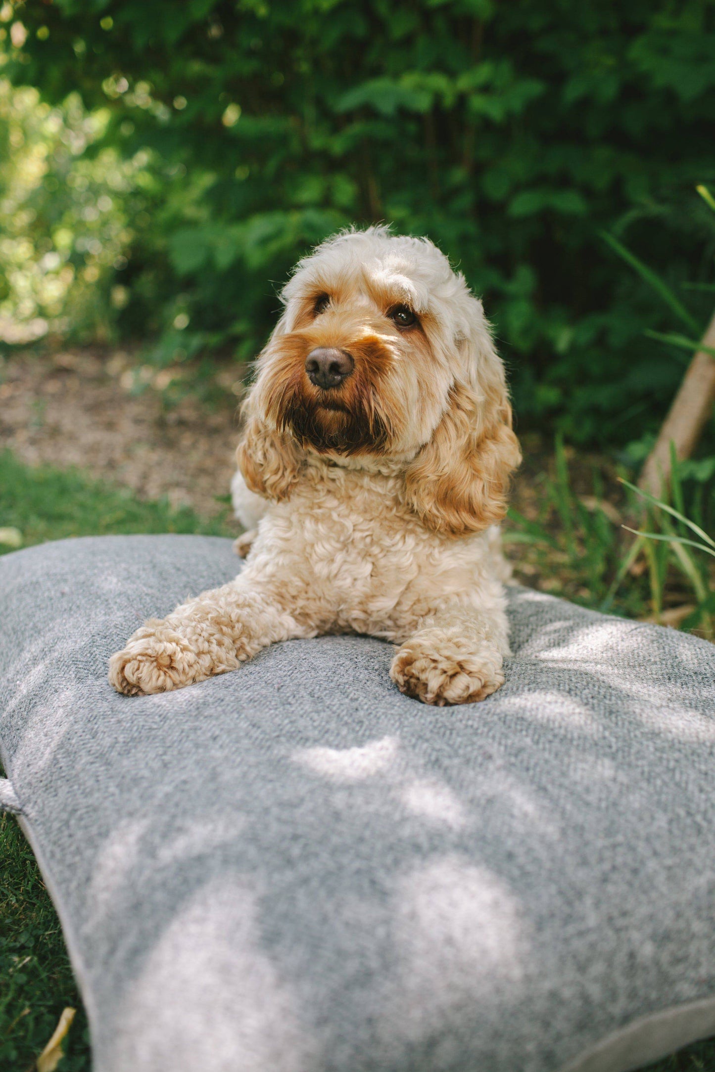 Luxury Pet Bed in Grey Herringbone by Woodcock & Cavendish for sale - Woodcock and Cavendish