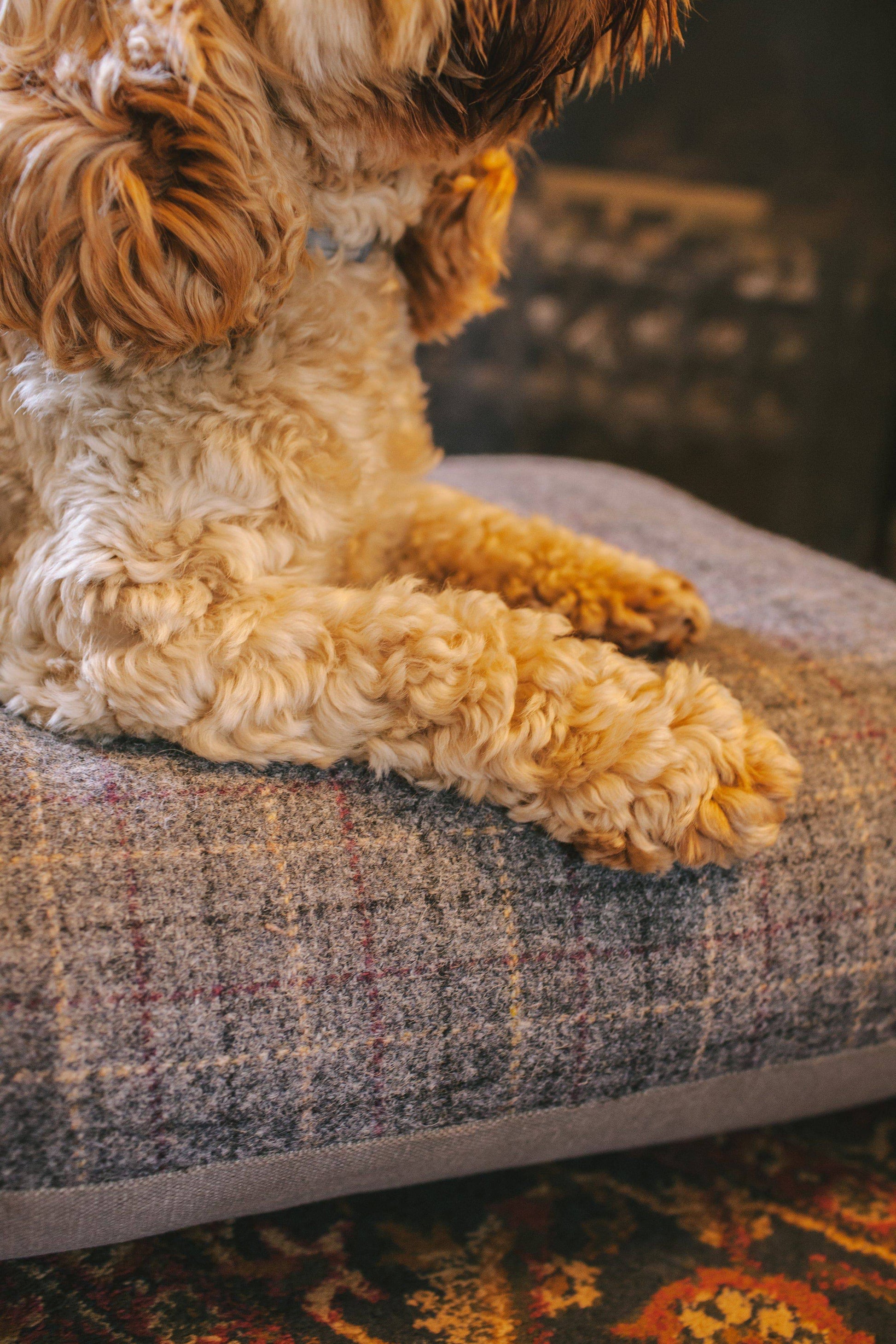 Luxury Pet Bed in Grey Wool Check by Woodcock & Cavendish for sale - Woodcock and Cavendish