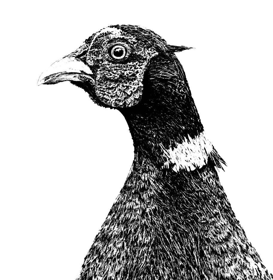 Pheasant Jug - Medium for sale - Woodcock and Cavendish