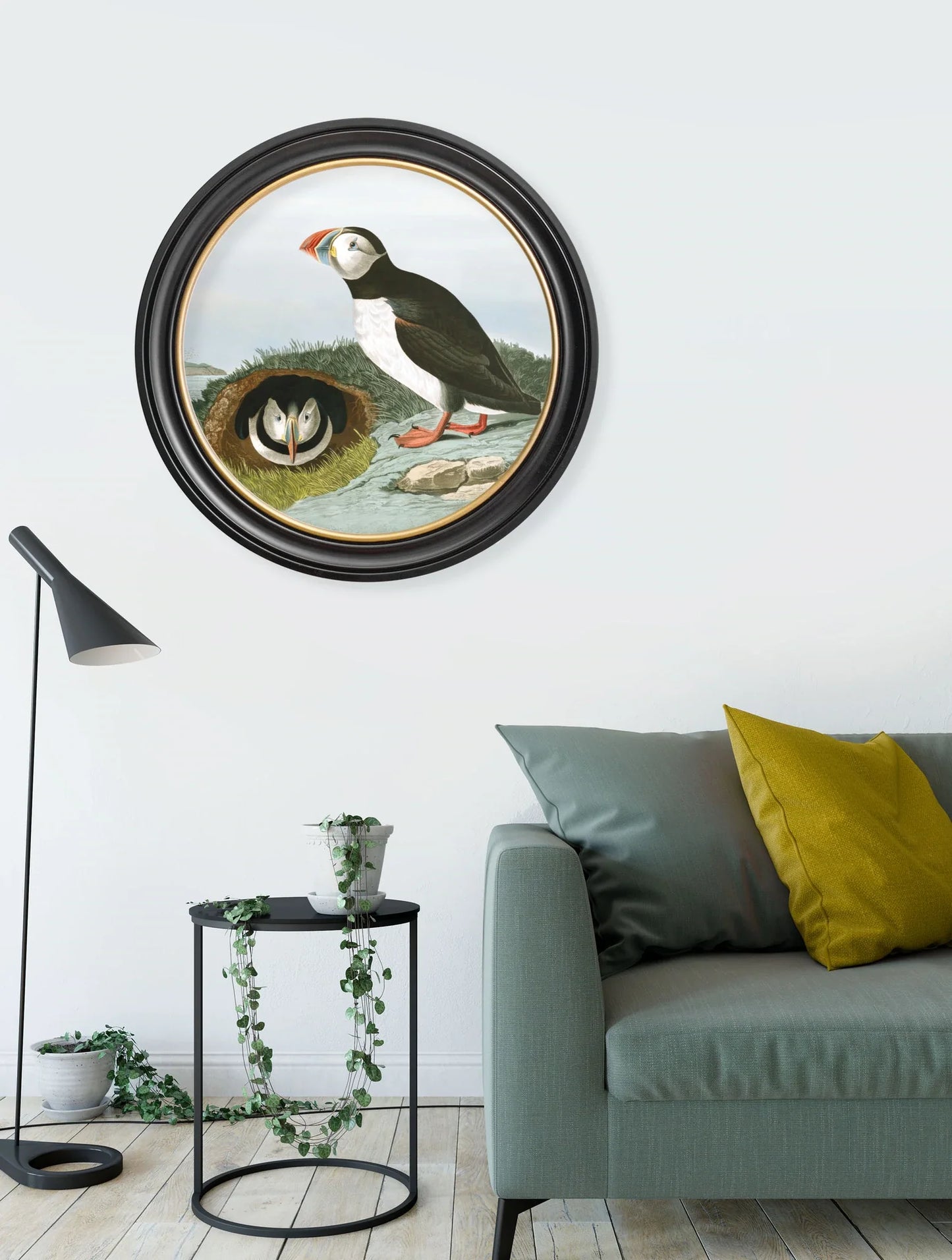 C.1838 Audubon's Puffin - Round Frame for sale - Woodcock and Cavendish