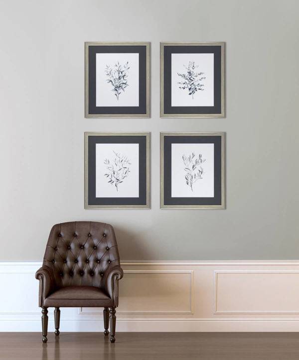 Soft Grey Botanicals by Emma Scarvey - Framed Print - Set of 4 for sale - Woodcock and Cavendish