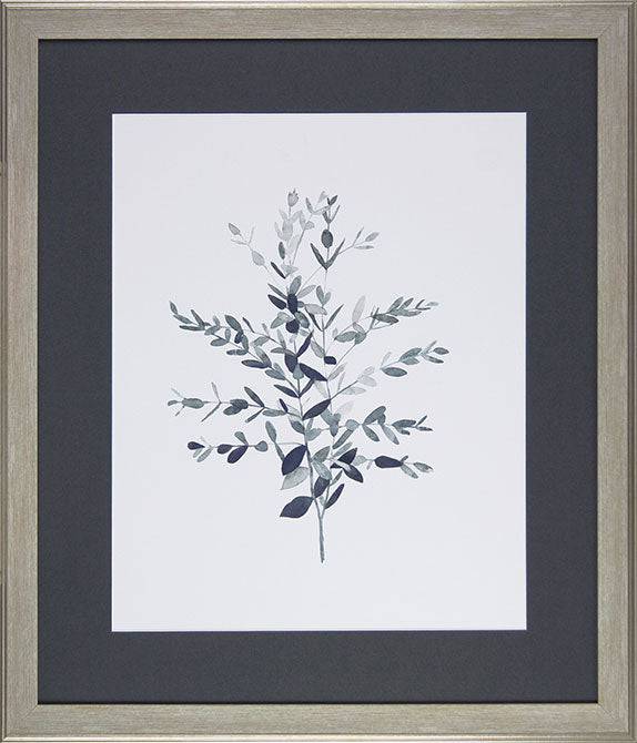 Soft Grey Botanicals by Emma Scarvey - Framed Print - Set of 4 for sale - Woodcock and Cavendish