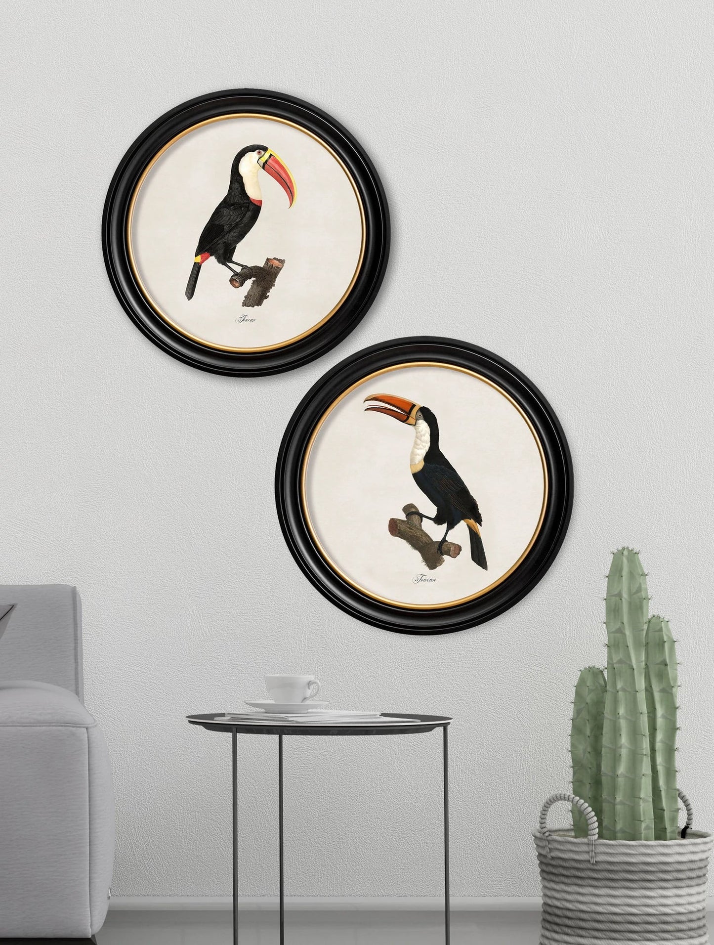 C.1809 Toucans - Round Frame for sale - Woodcock and Cavendish