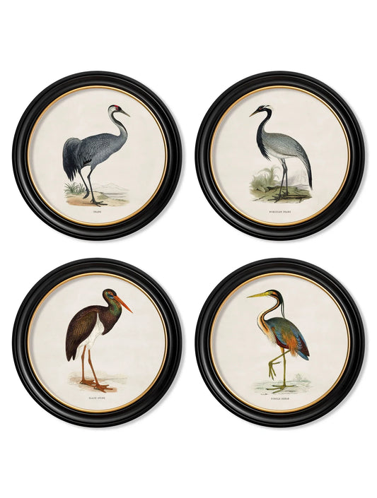 C.1870 Wading Birds in Round Frames for sale - Woodcock and Cavendish